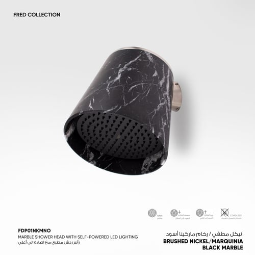 رأس دش مطري جداري مع اضاءة Fred​ - FDP01