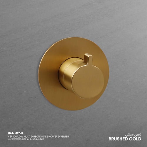 محول شاور ڤيرسو فلو جداري متعدد الاتجاهات​ MX067