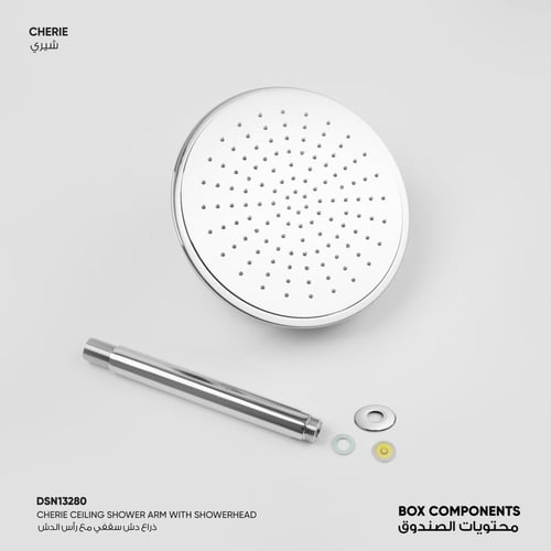 ذراع دش سقفي مع رأس الدش Cherie - DSN13280