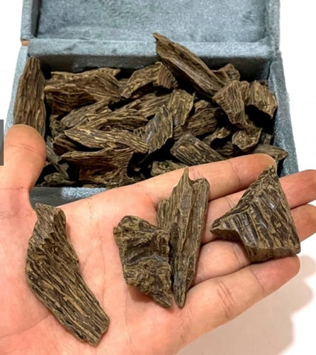 عود كلمنتان الشيوخ طبيعي محسن (يمكنك اختيار الكمية...