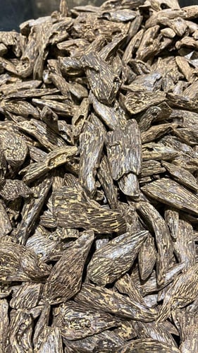 عود كلمنتان الشيوخ طبيعي محسن (يمكنك اختيار الكمية...