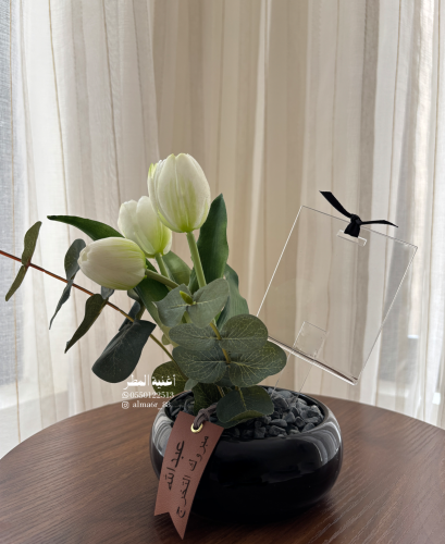 فازة تخرج توليب