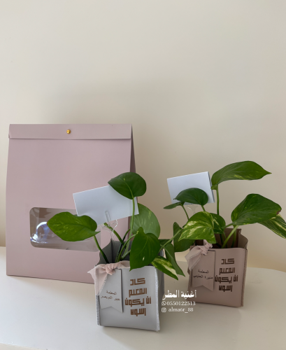 شتلة المعلم