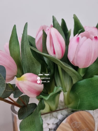 فازة التوليب