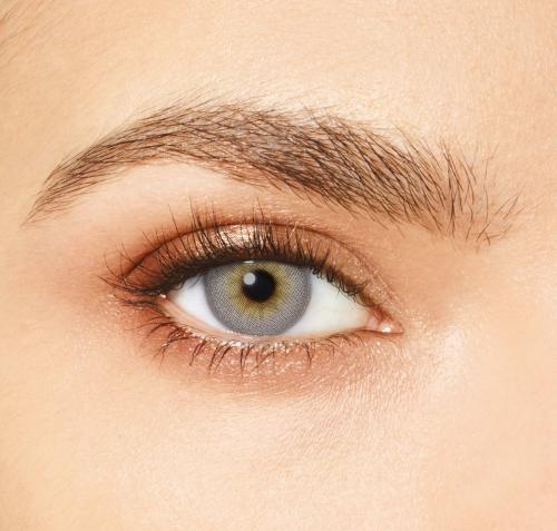 ديزيو اتيتود ربع سنوي - بريشس جري