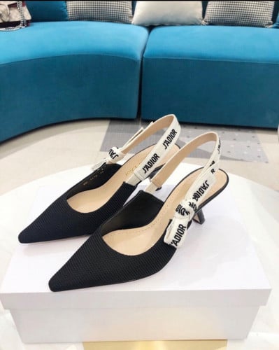 High heel shoe from Dior