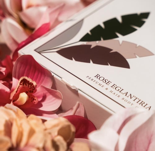 بكج روز إغلانتيريا | ROSE EGLANTIRIA BOX