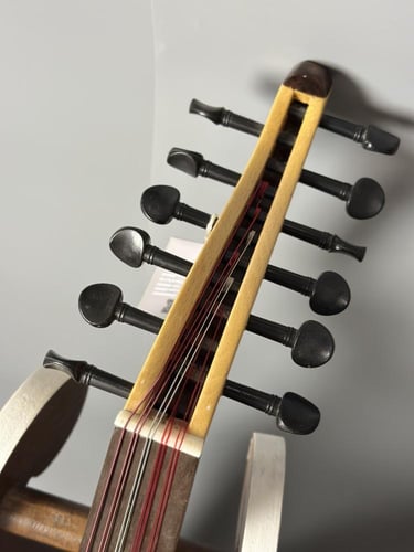 عود بحريني - فئة احترافي