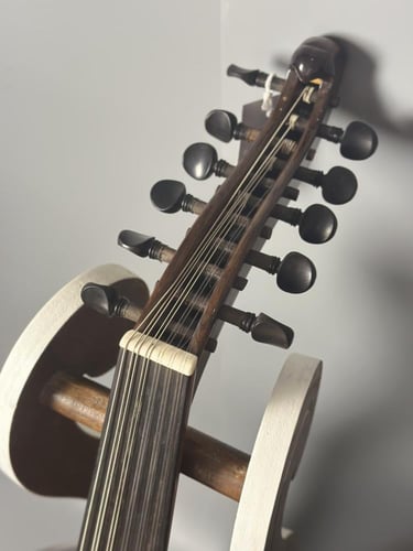 عود تركي - برهان ششني