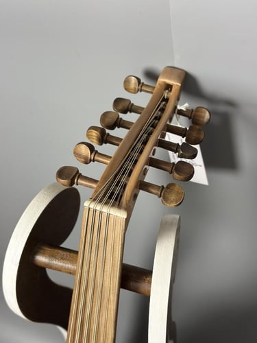 الجزيرة - موديل سيدار احترافي