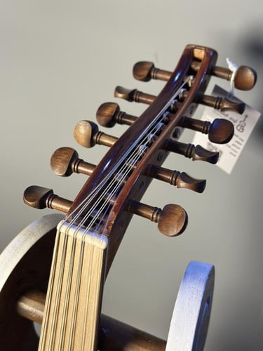 زرياب - موديل عراقي (1) مطور