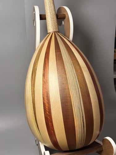 عود بحريني - فئة البداية