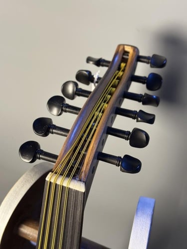 زرياب - موديل عراقي (4) جوز