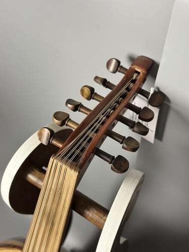 الجزيرة - موديل سيدار احترافي سحب