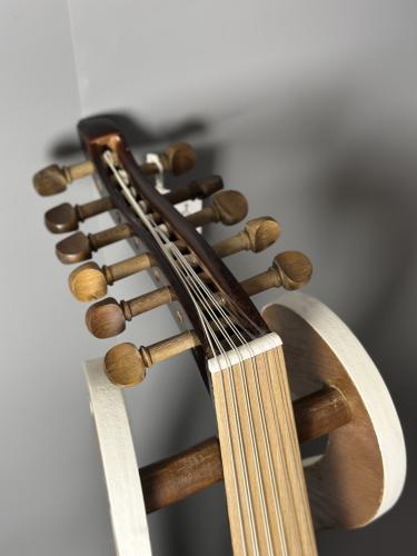 الجزيرة - موديل سبروس دائري