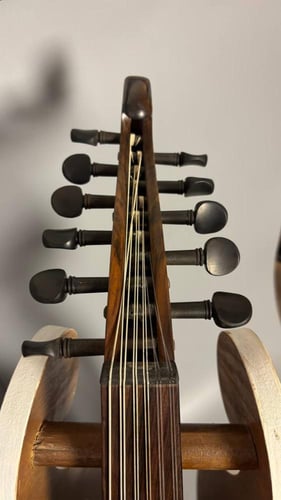 حافظ سليمان - عود احترافي