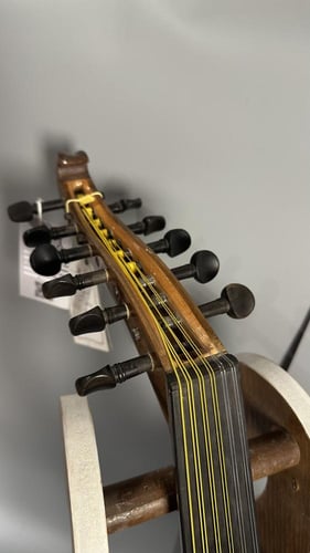 زرياب - موديل تركي (3)