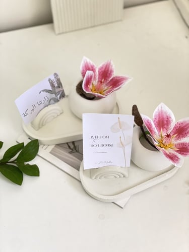 مجموعة ضيافه