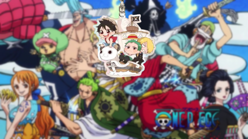 One Piece medals