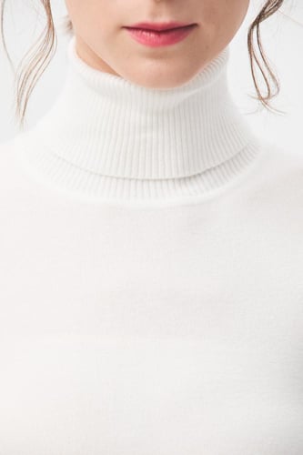 بلوزة بيسك بياقة عالية