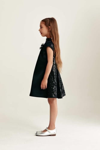 فستان بياقة ترتروبأكمام قصيرة