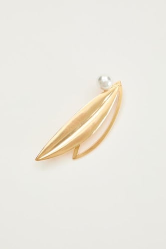 بروش بتصميم ورقة شجر