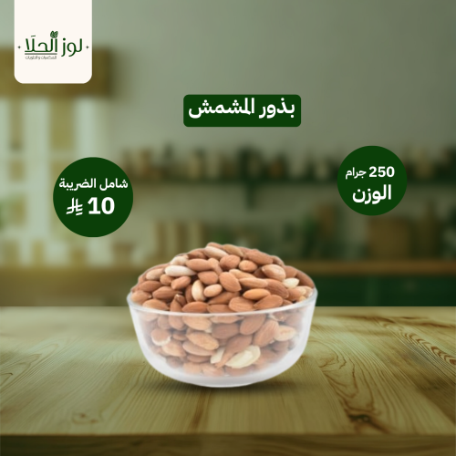 بذور المشمش