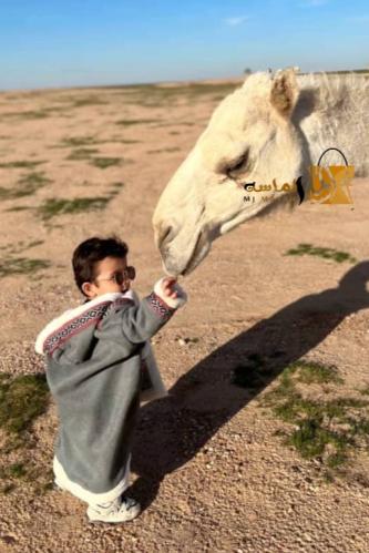 فروه اطفال مع سدو