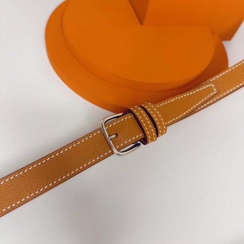 حقيبة هيرميز ديلي