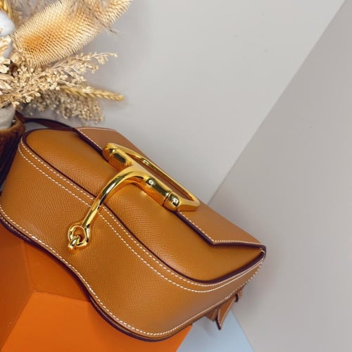 حقيبة هيرميز ديلي