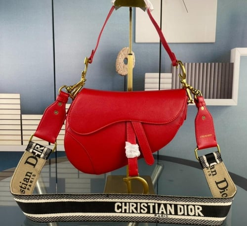 ديور Dior saddle