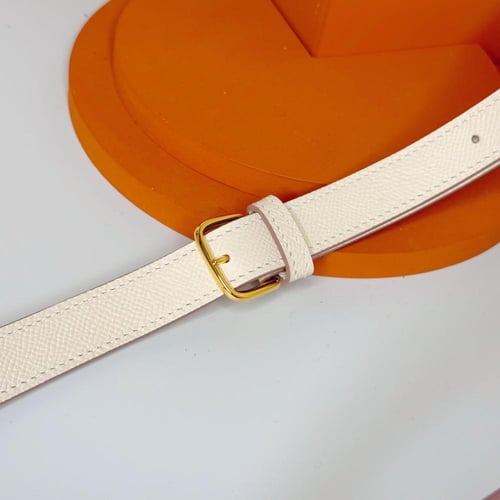 حقيبة هيرميز ديلي