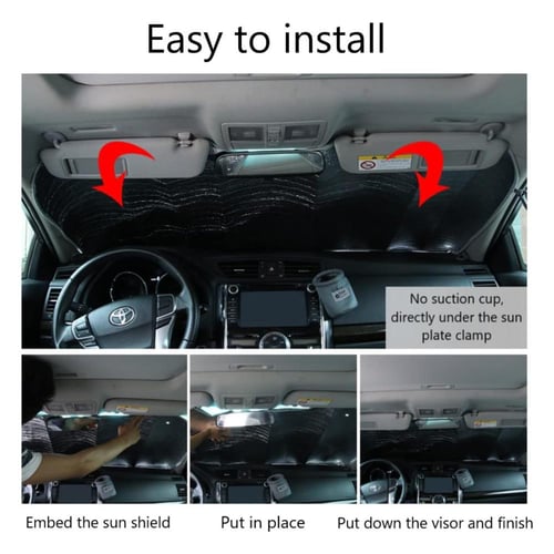 شماسة سميكة