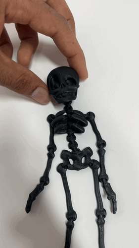 سيكلتون المتحرك