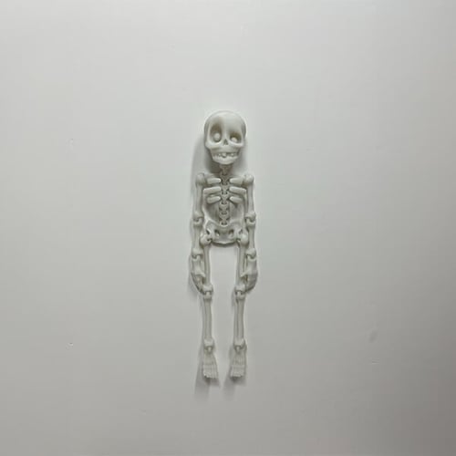 سيكلتون المتحرك