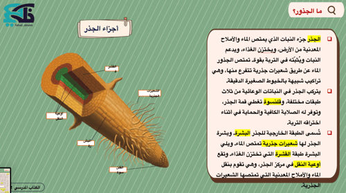 عروض بوربوينت لمادة العلوم -خامس إبتدائي