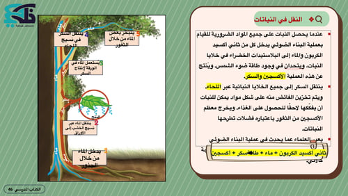 عروض بوربوينت لمادة العلوم -خامس إبتدائي