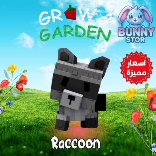 Raccoon | الراكون | Grow A Garden