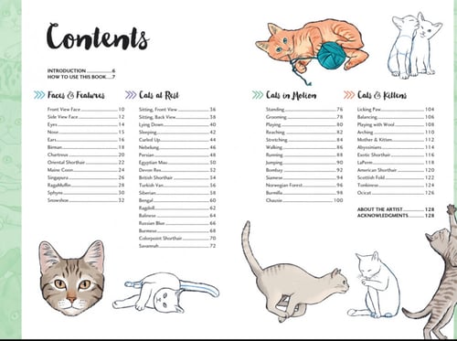 Ten Steps Drawings: Cats