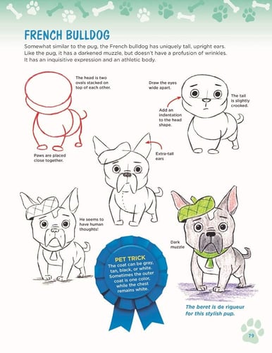 How to Draw Dogs & Cats