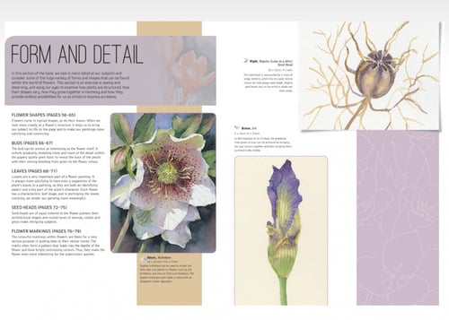 Ready to paint in 30 minutes in watercolors: flowe...