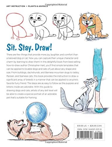 How to Draw Dogs & Cats
