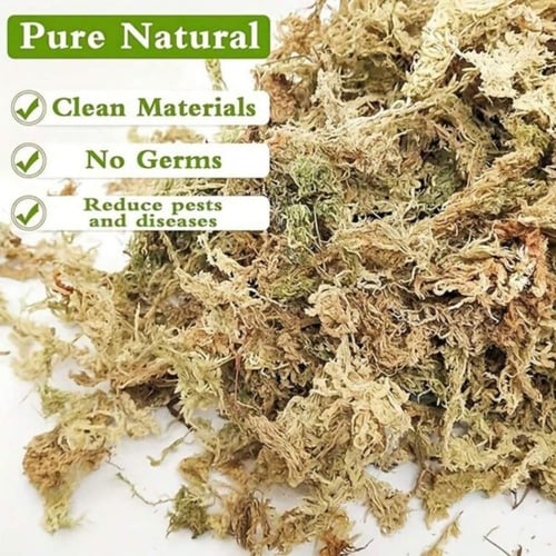 طحلب سفاجنوم موس 12g الأصلي – جودة عالية 100%