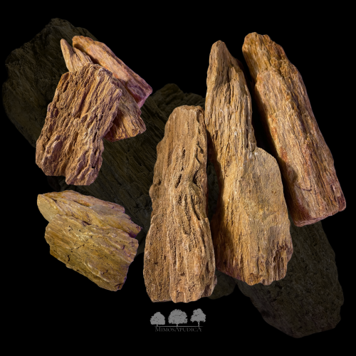 حجر التنين الخشبي – لمسات طبيعية لتصاميم التيراريو...