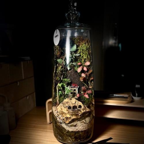 Terrarium 16