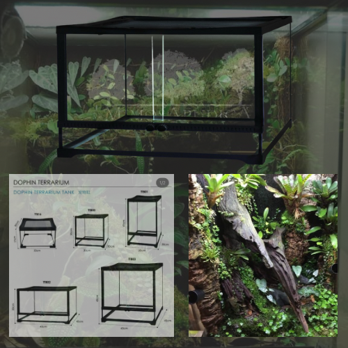 DOPHIN TERRARIUM TANK – TT802