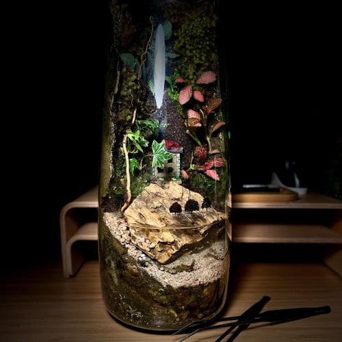 Terrarium 16