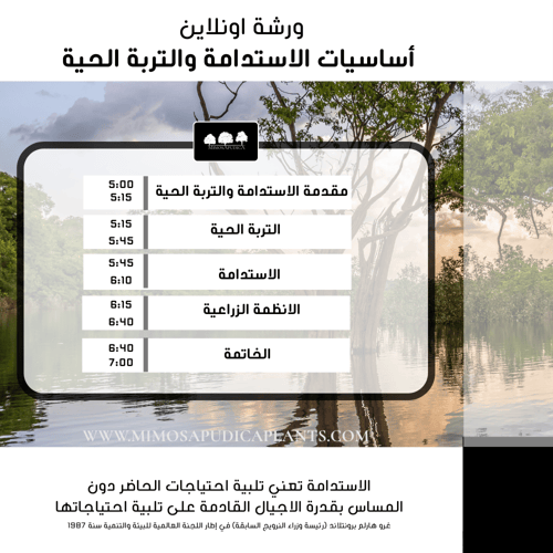 ورشة أساسيات الاستدامة والتربة الحية
