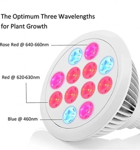 اضاءة LED ازرق احمر ( افضل اضاءه للنباتات )50000سا...
