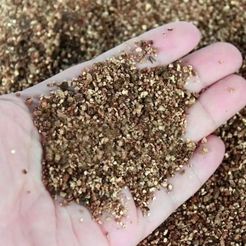 فيرميكوليت 4L لتربيه الزواحف